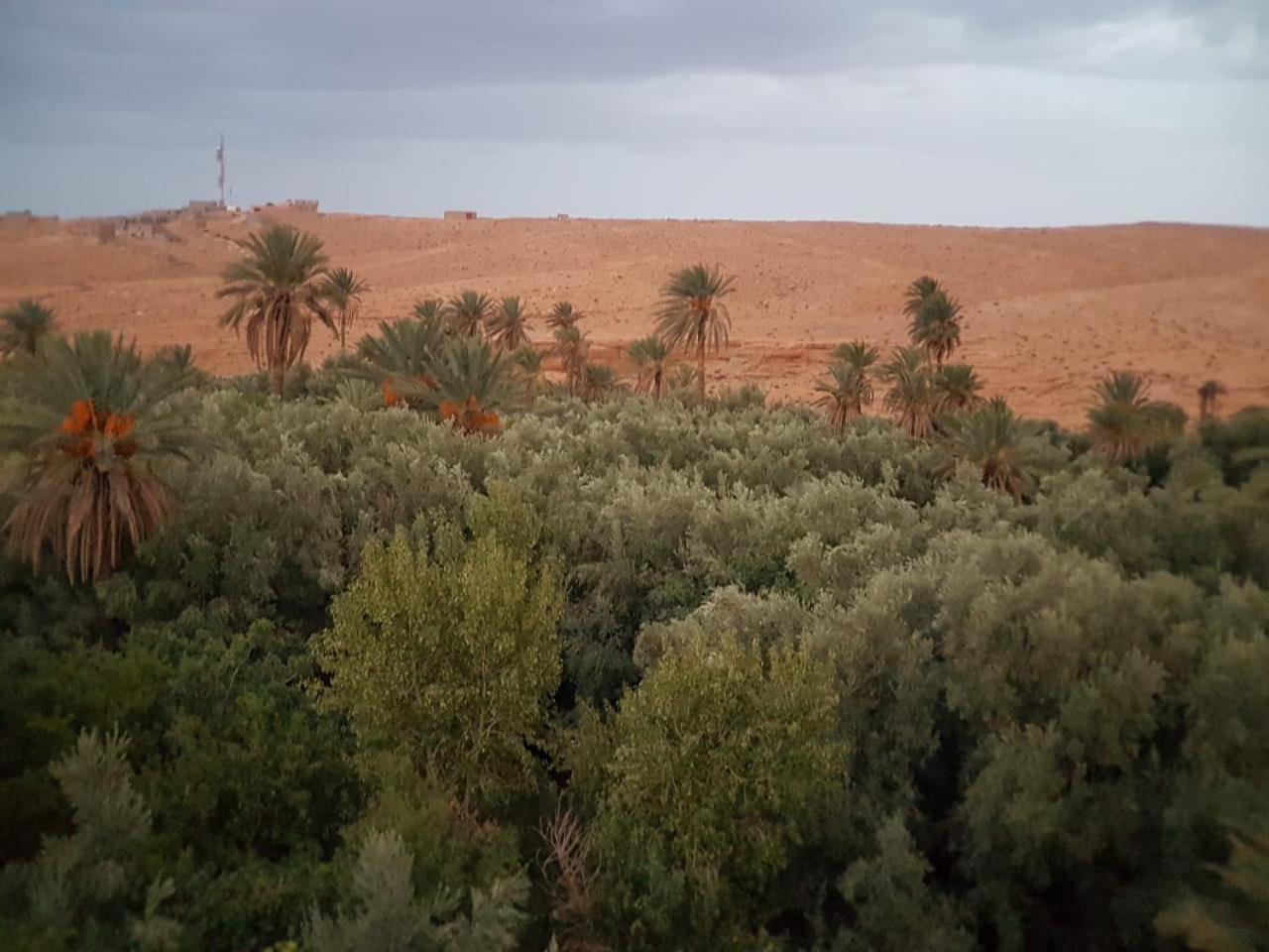 Riad Dar Bab Todra Tinghir Εξωτερικό φωτογραφία